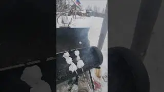 #шашлыки а-ля диетические #юмор #частныедома #загородныйдом #дача