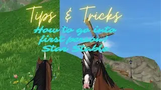 Tips and Tricks how to be in first person |Star Stable