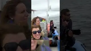 How does it feel going whale watching in Azores? | Futurismo