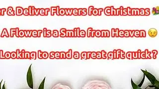 Order & Deliver Flower for Christmas🌸💐🌺