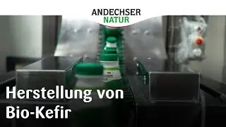 Herstellung von ANDECHSER NATUR Bio Kefir