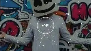 Marshmello (Vibr8)