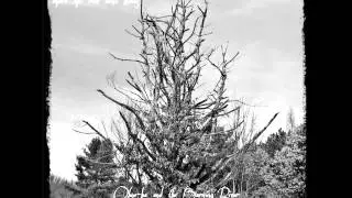 Ohne k&aacute; and the Burning River - Sacred Pines of the Northern Isles
