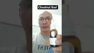 Remedio Floral: Chestnut Bud | Para aprender de las lecciones que nos da la vida!