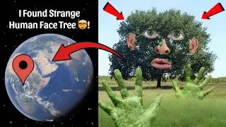 🌳I Found Strange Human Face Tree in Real On Google Earth and Google Maps 😰!