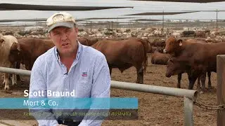 What&rsquo;s the economic impact of a foot-and-mouth disease (FMD) outbreak?