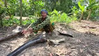 Trung giờ nó lạ lắm con..!