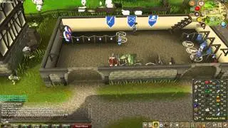 【RuneScape】99 Defence