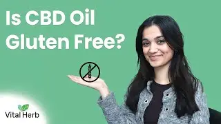 Is CBD Oil Gluten Free? - [Vital Herb]