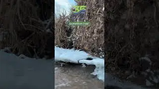 Sounds of Brothertown Creek | A Quiet Winter Moment