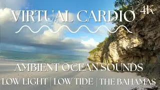 Evening Beach Ride | Bahamas Virtual Indoor Cardio
