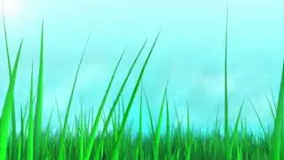 Grass in the Wind - Seamless Loop Motion Background