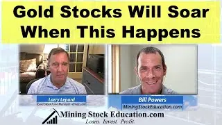 Gold Stocks Will Soar When This Happens says Fund Manager Lawrence Lepard
