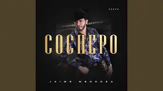 Cochepo