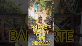 SNAKE BALUARTE   SHORT YOUTUBE VLOG IN THE PHILIPPINES
