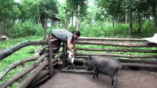Reaching the Unreached: Savings Groups in Rural Vietnam
