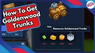 How To Get Goldenwood Trunks in Hytale