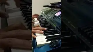 O nosso santo bateu no teclado. #casiobrasil #pianocover #music #piano #musica