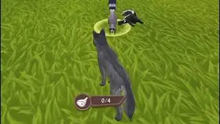 Wolf vs Skunk: Wild Animal Survival Challenge in Open World! #Wolf #animals