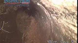 Sewer Line Root Intrusion Discovered By Home Inspection Authority#sewerline #plumbingissues