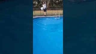 Winter Pool Chemistry #pool #taylortestkit #swimmingpool #diy