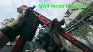 MWII Vector is Insane!