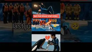 jessica radcliffe accident original video | jessica dolphin show incident #jessica