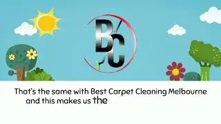 5 Varieties of Professional Carpet Cleaning Methods