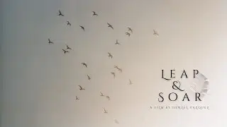 Leap & Soar - Short Film