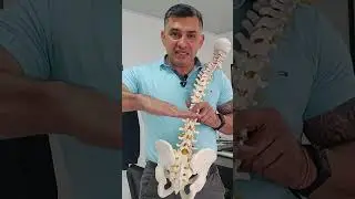 EL PROBLEMA EST&Aacute; EN EL SACRO [Quiropr&aacute;ctica] Ajusta el sacro  #shorts
