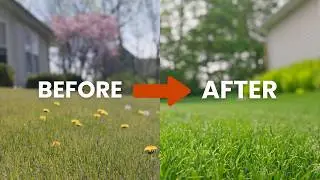 How to Get a Healthier, Greener Lawn with SpringGreen Lawn Care
