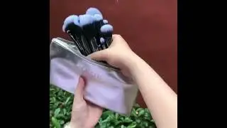 Focallure FA-70 10 Pcs Brushes Set With Pouch