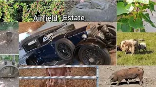Airfield Estate (Part-2) Dundrum | Urban Working Farms and Gardens | Dublin Ireland