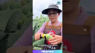 Eating Cactus?! What Does This Forbidden Fruit Taste Like? 🤔🌵 #cactusfruit #food #weird #tryit