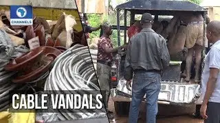 Taraba Vigilante Group Arrests Electricity Cable Vandals