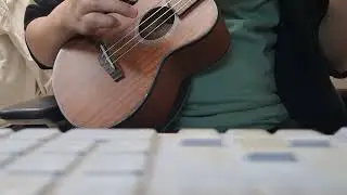 Isn't she lovely (Ukulele ver.) (arranged by Euijin Seo)