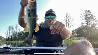 Fishing For Late Summer LMBs (Large Mouth Bass)