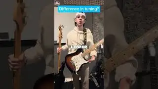 Guitar Vs Bass: The REAL Difference