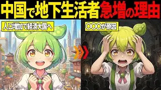人口増加で国家崩壊！？中国とインドで地下生活者続出の理由【ずんだもん・ゆっくり解説】