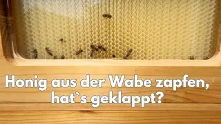 Ernten direkt aus dem Honigraum - Was ist daraus geworden?
