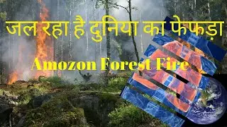 Amazon Forest Fire जल रहा धरती का फेफड़ा