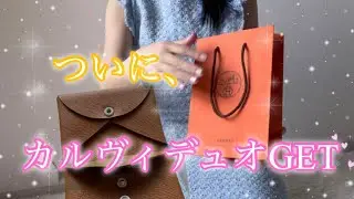 【HERMES購入品】開封動画　カルヴィデュオGET  シルクインとの比較も！