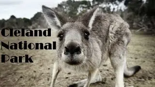 Cleland National Park | Adelaide | South Australia |Cinematic Videography