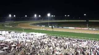 Dubai World Cup Horse Race on Video March 28 2015