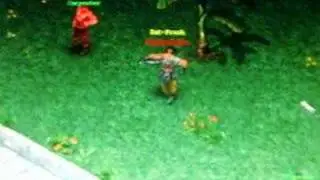 Conquer online pking