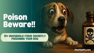 15+ Household Items Secretly Poisoning Your Dog (BEWARE)