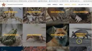 Wildlife Removal Services in Miami