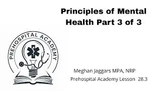 Mental Health Principles Part 3
