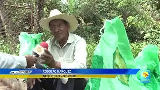 AGRICULTORES RECIBEN ABONO EN JOCOAITIQUE