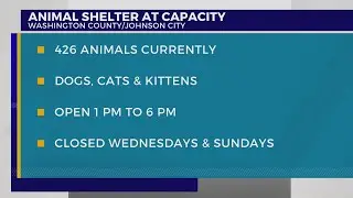 Washington County Animal Shelter at capacity with 400+ pets